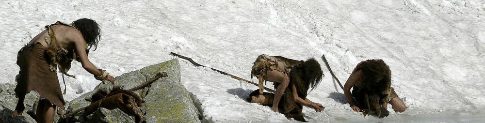 Evolution of humans | Kents Cavern, Torquay