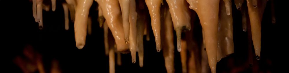 Stalactite | Kents Cavern, Devon