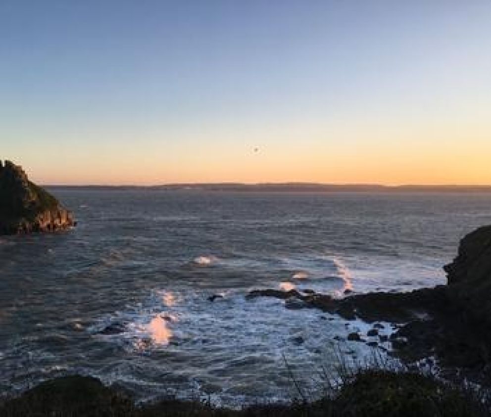 English Riviera coastline