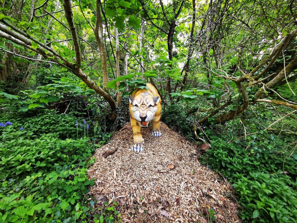 Sabre-Toothed Tiger at Kents Cavern