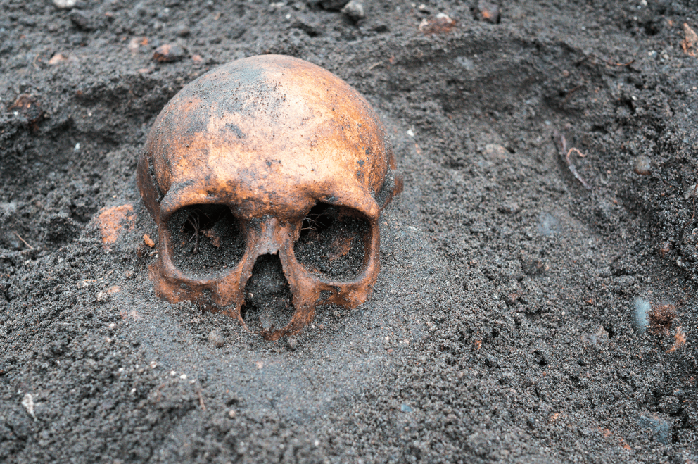 Skull half buried in dirt