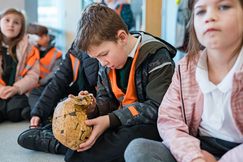 Child looking at a Neanderthal skull | Kents Cavern, Torquay