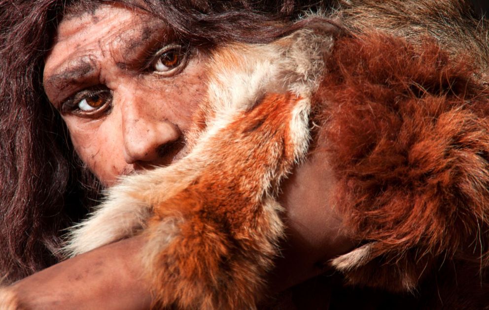 Neanderthal illustration | Kents Cavern