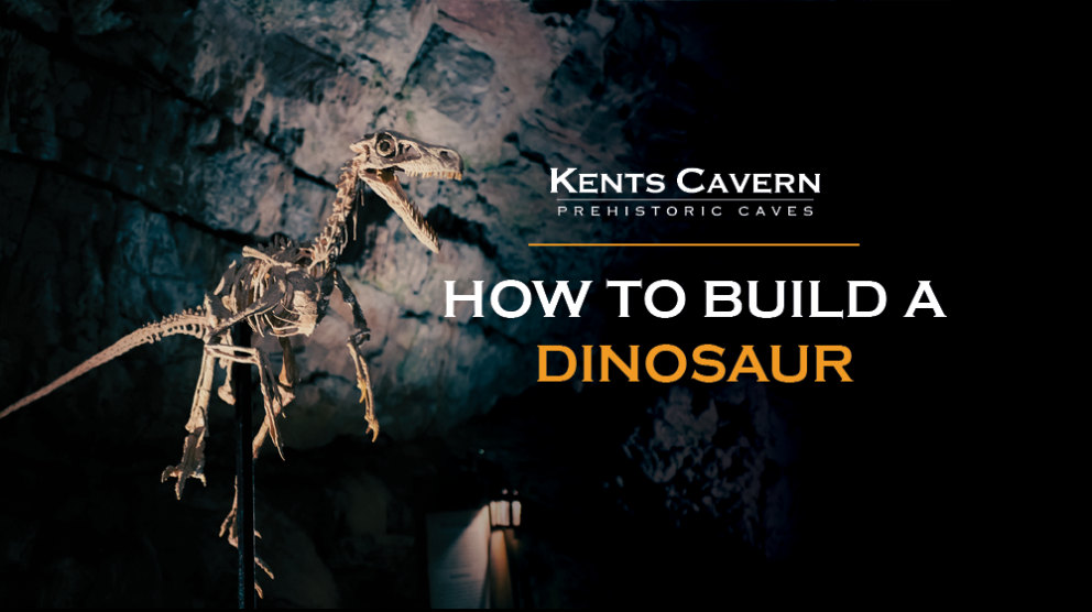 How to build a dinosaur