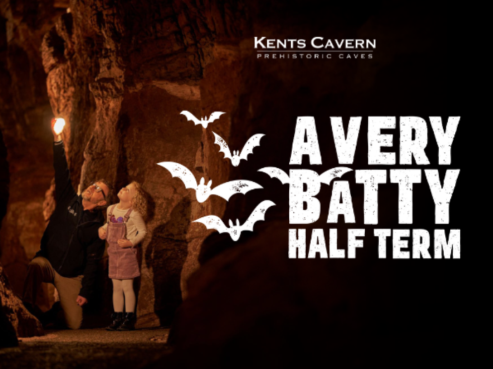A Very Batty Half Term