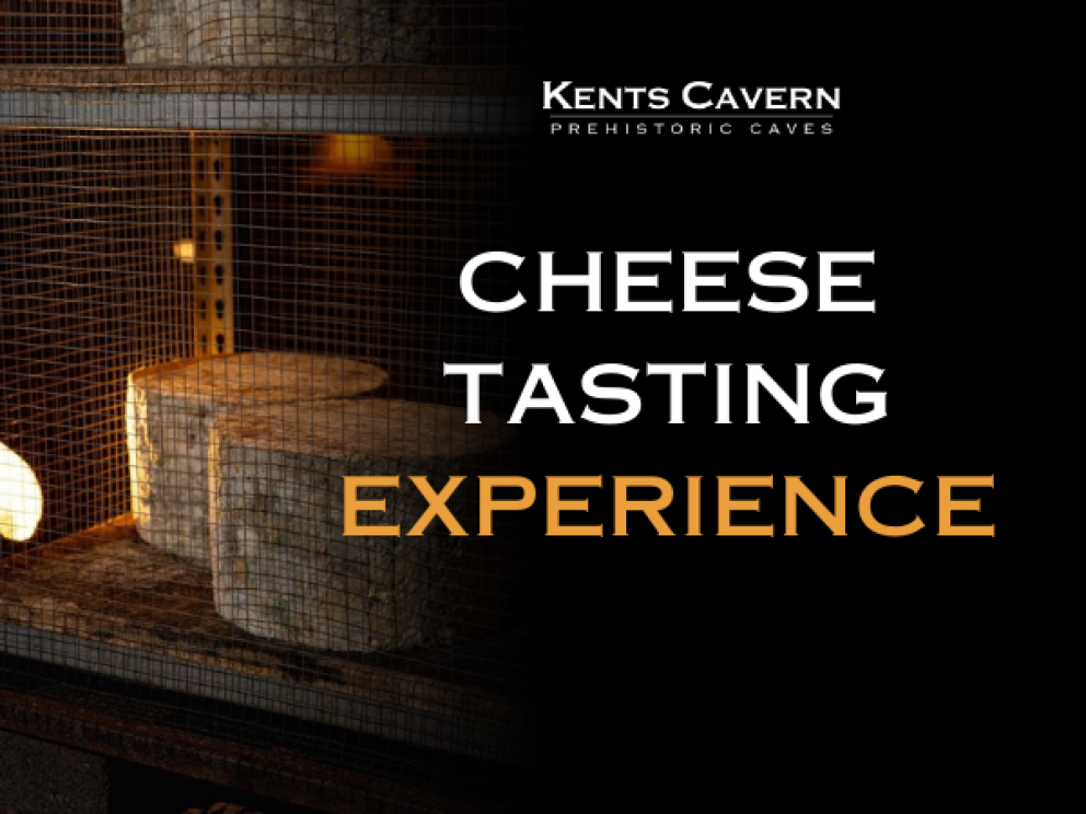 cheese tasting experience