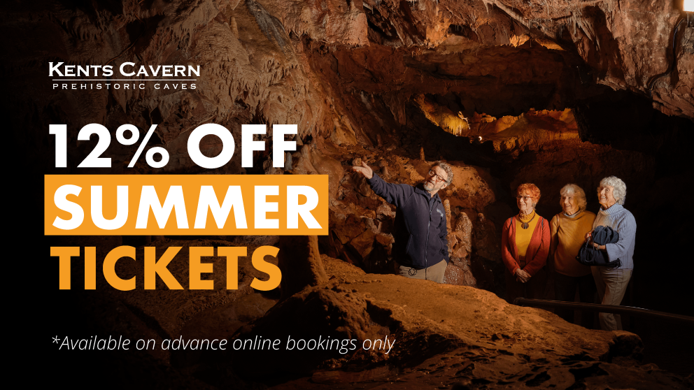 Summer Savings Banner