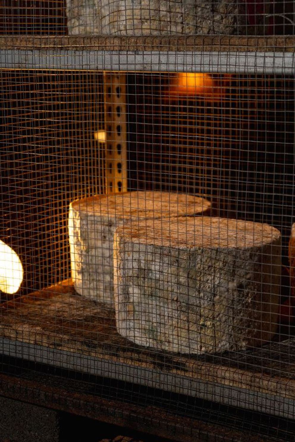 cave aged cheddar at kents cavern prehistoric caves