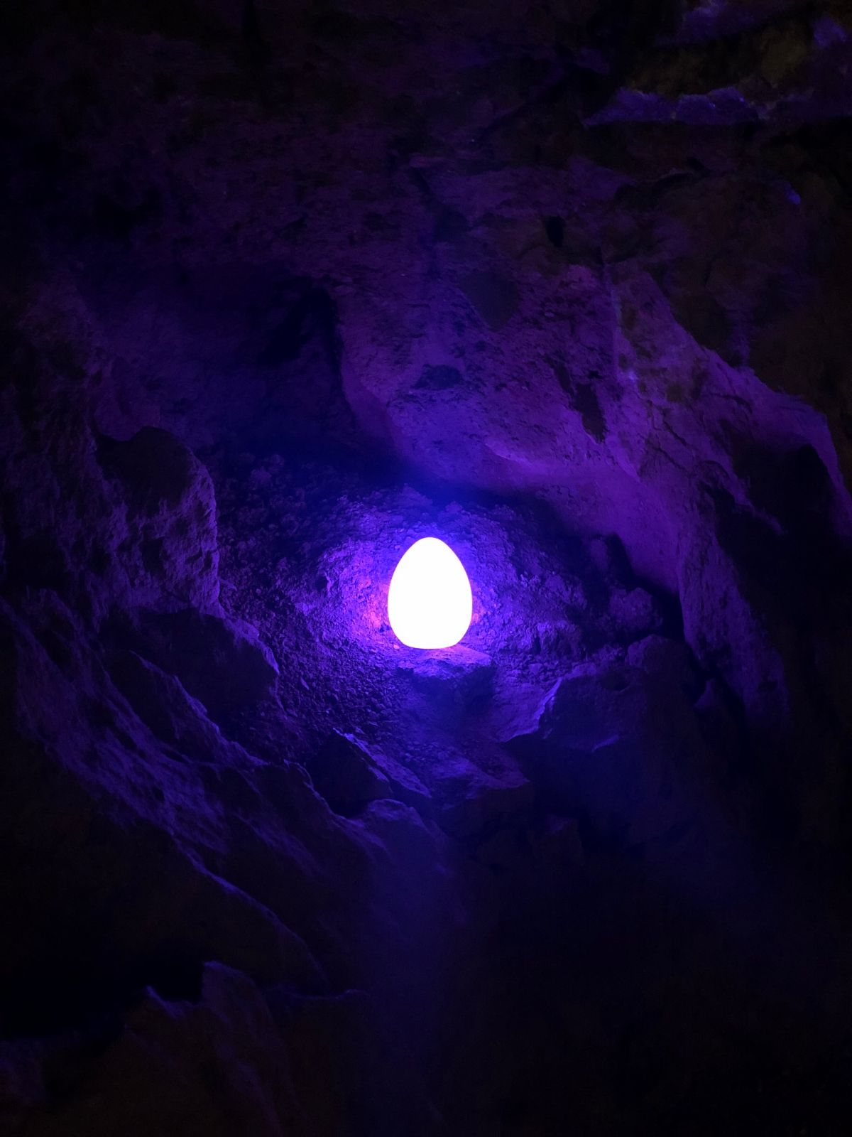 Easter Egglow Torquay Easter Activity
