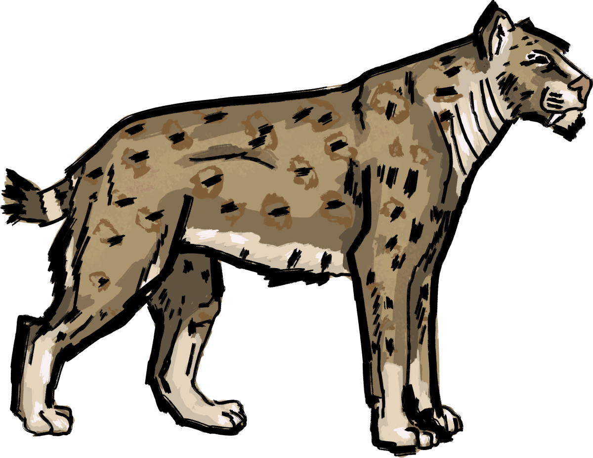 scimitar cat kents cavern art