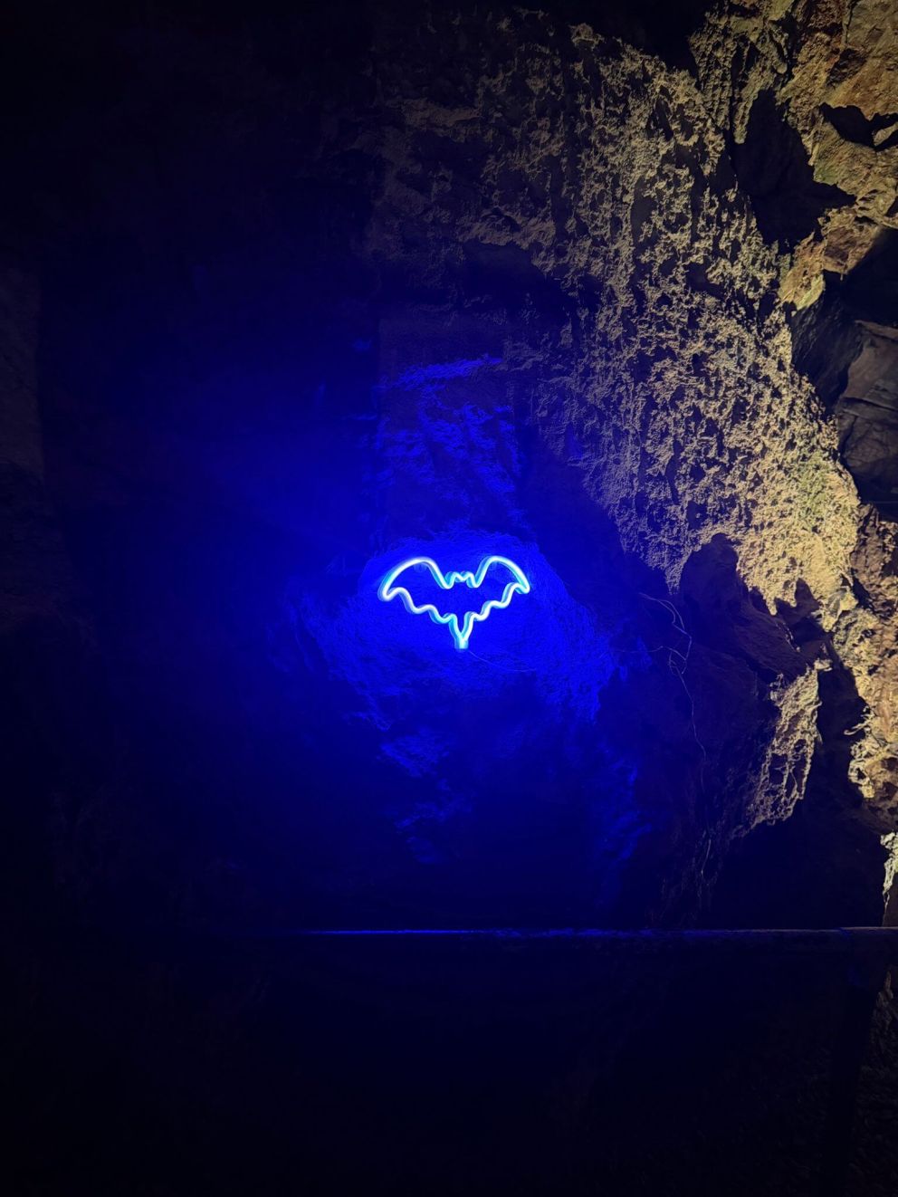 Neon bat halloween half term kents cavern