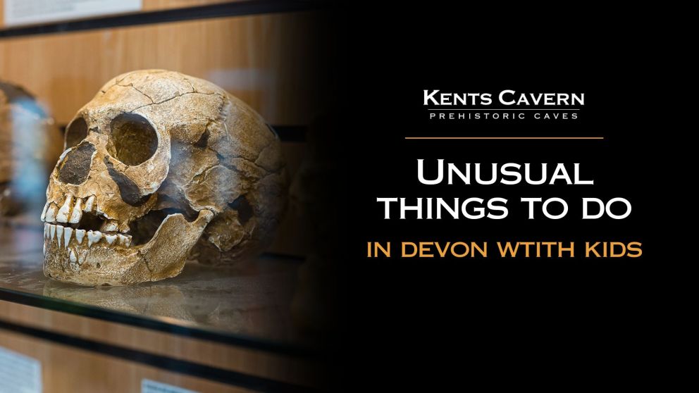 unusual things to do in Devon with kids
