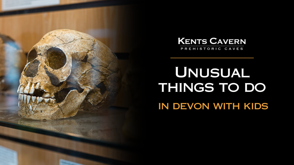 unusal things to do in Devon with kids