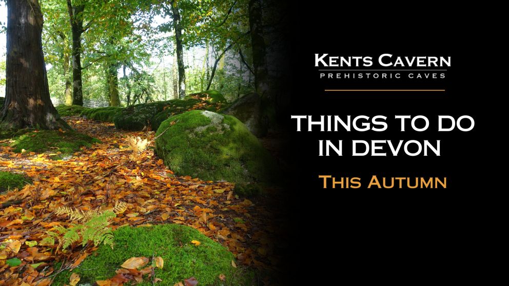 This to do in Devon this Autumn
