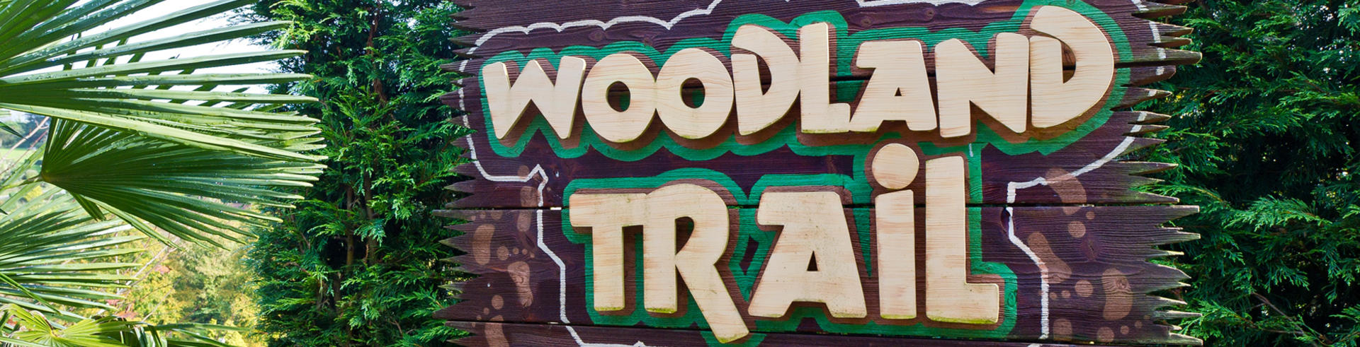 Woodland Trail -  Kents Caven